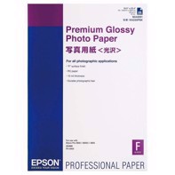 Epson Premium Glossy Photo Paper 255 g, A2 25 fogli 